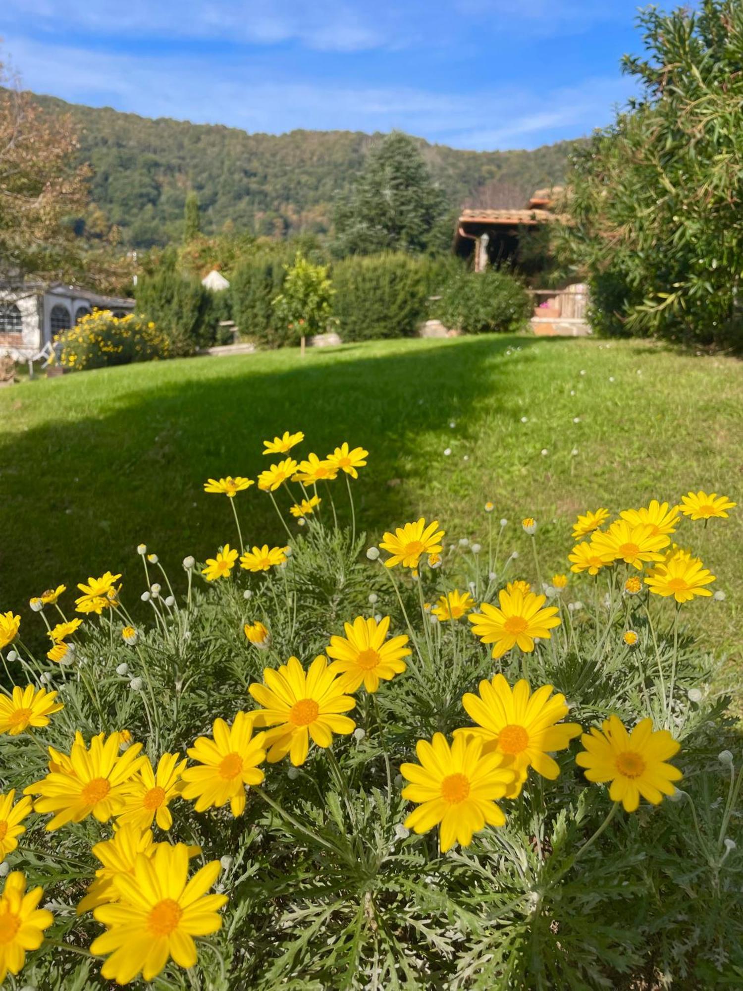Agriturismo Le Grotte Nemi Zewnętrze zdjęcie
